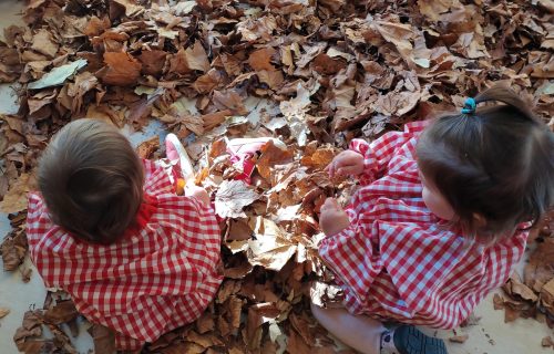 Niños jugando con hojas en el patio de la escuela infantil La Abeja Maya.